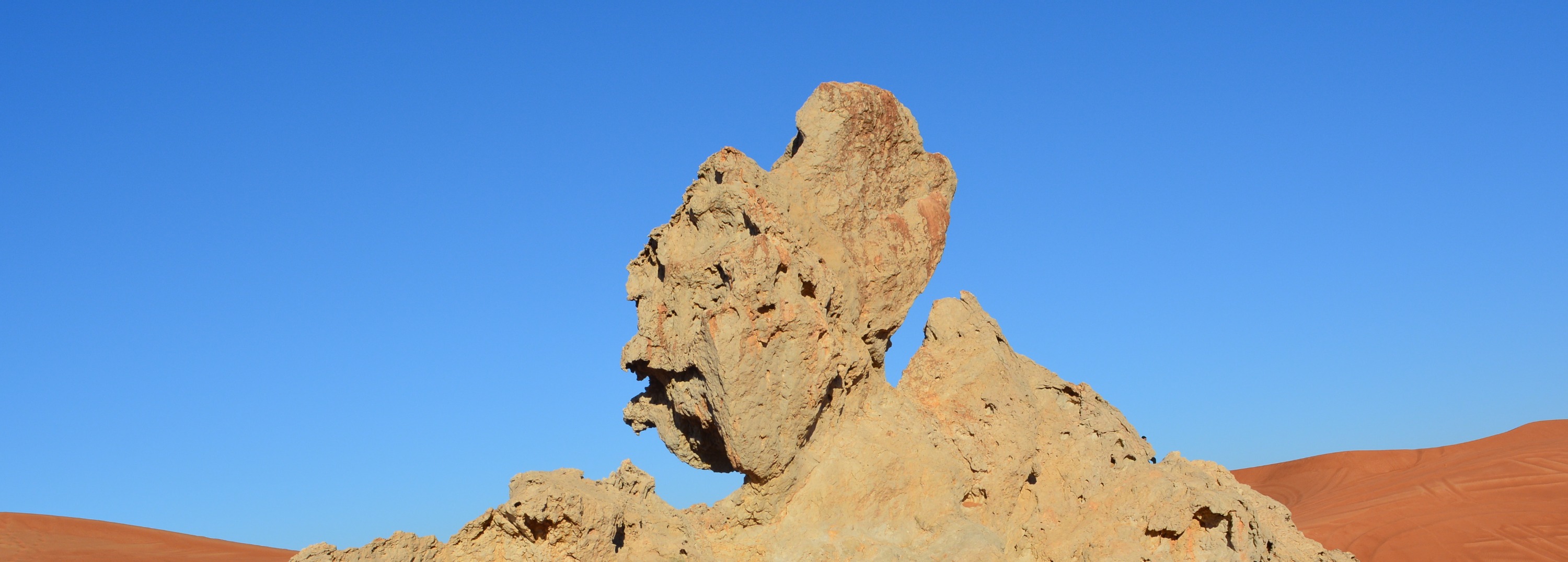 哈达野生动物园（Hatta Safari）& 蜂蜜园之旅