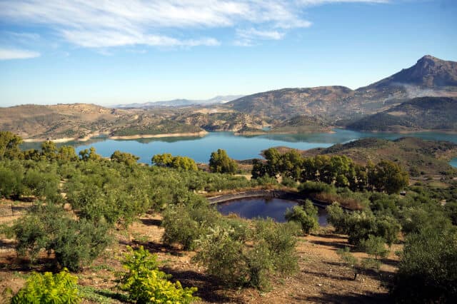 隆达＆白色山城一日游（塞维亚出发）