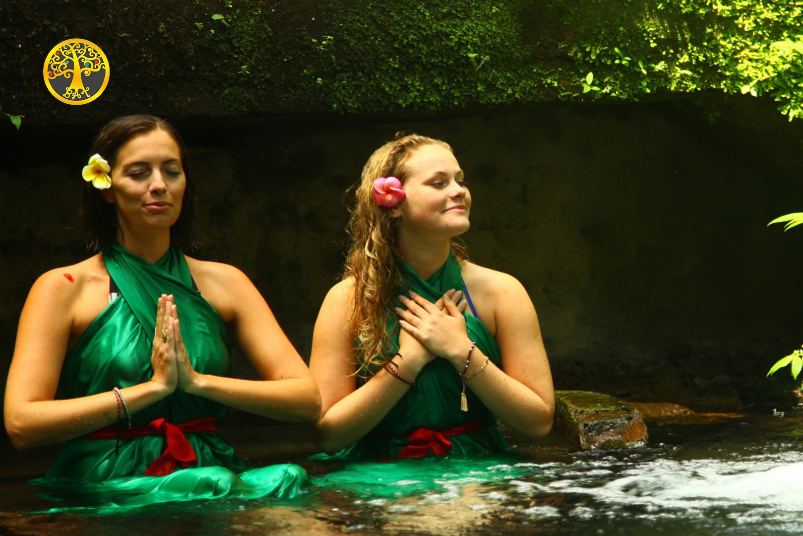 峇里岛圣泉寺净身私人一日游