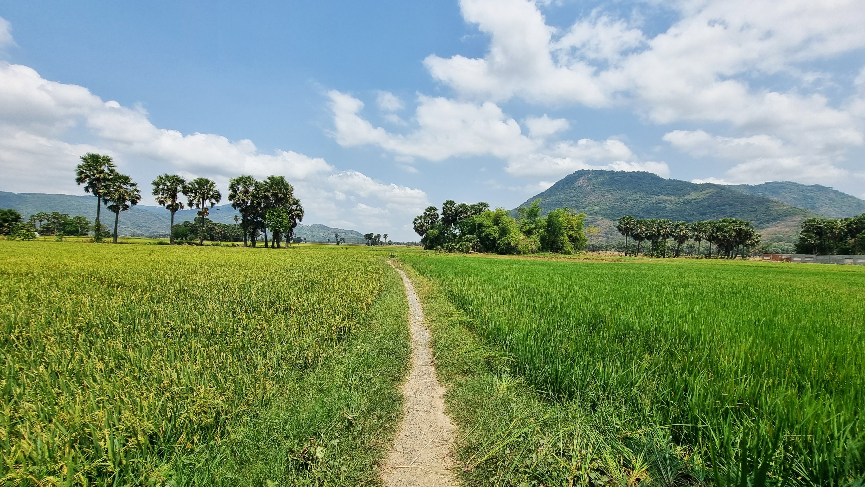 高棉传统工艺村私人半日游（朱笃出发）