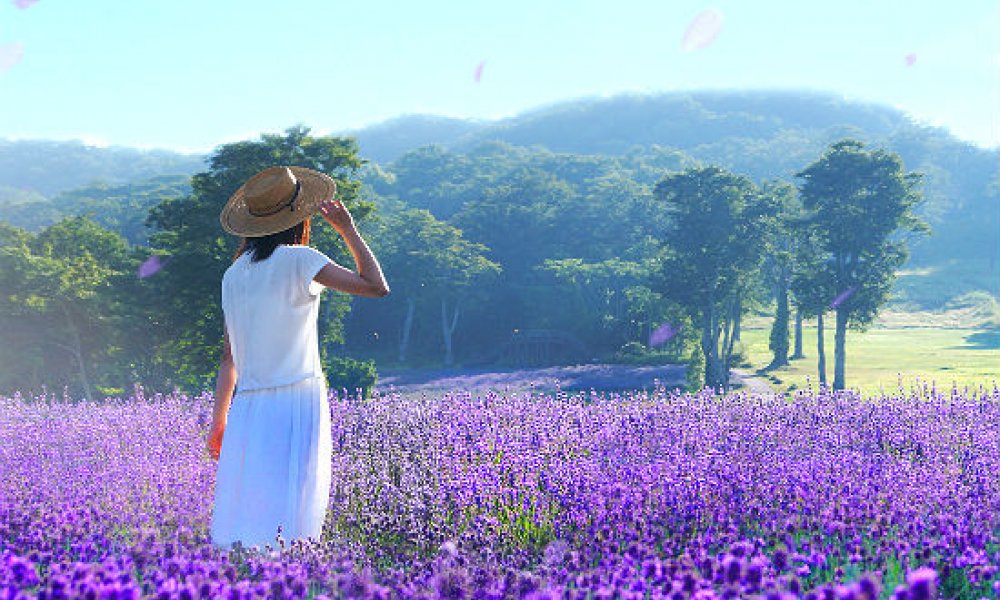 群马观光美食一日游（东京出发）