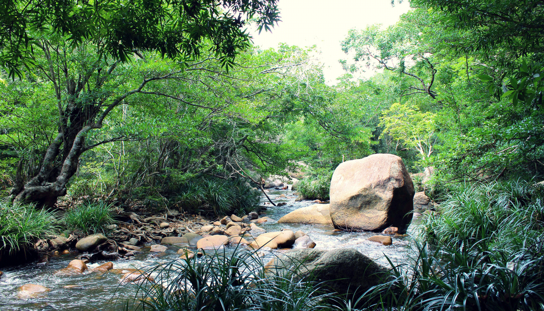 巴赫瀑布＆雷特海滩私人一日游（芽庄出发）