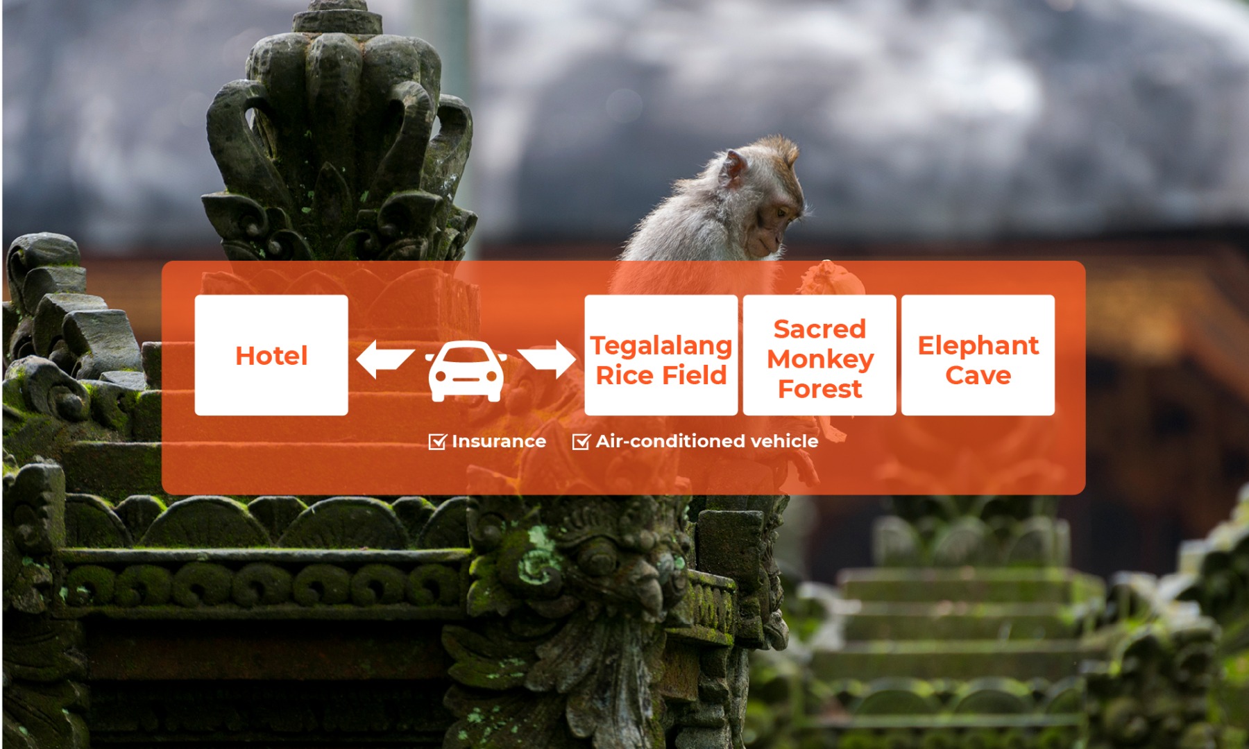 峇里岛中部一日游：德格拉朗梯田＆圣猴森林公园＆象洞