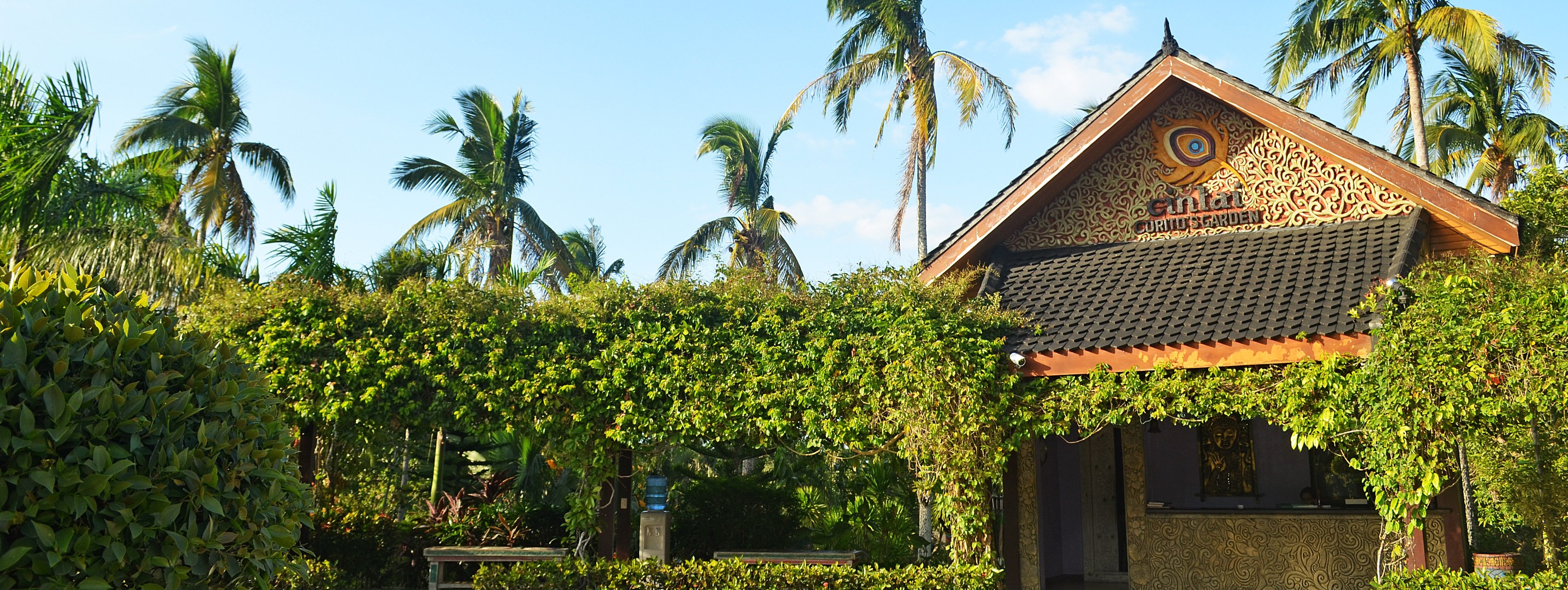 八打雁 辛泰合唱花园一日游