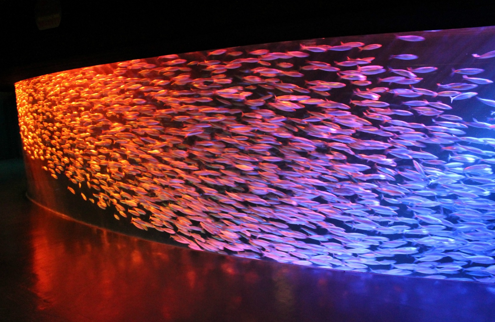 【特惠】登别尼克斯海洋公园门票