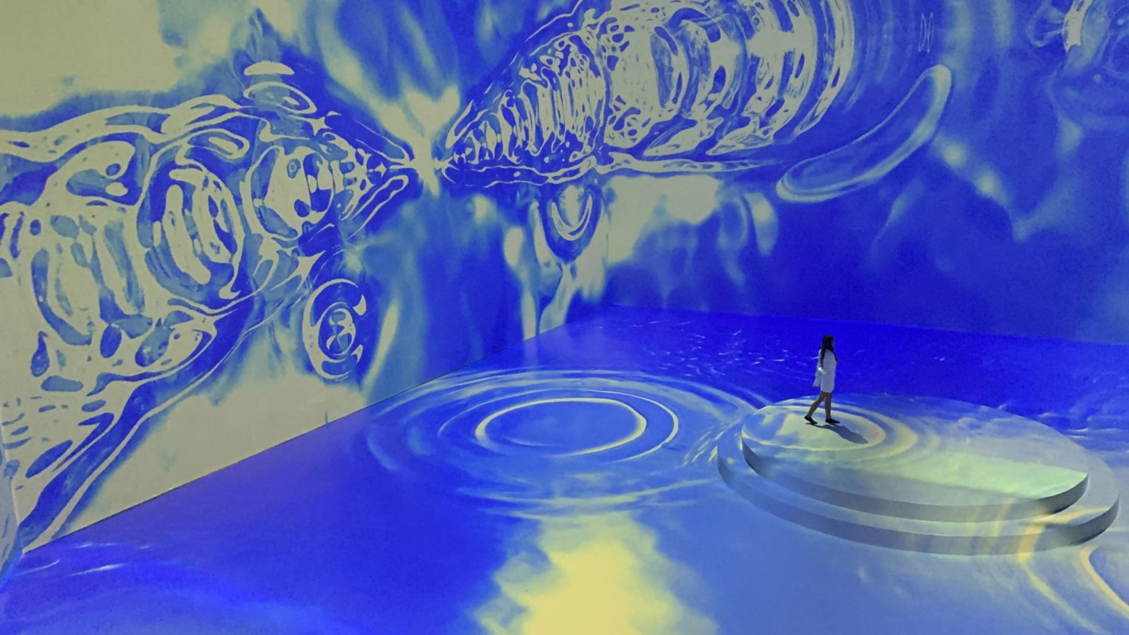 马尼拉 Art In Island 3D 美术馆门票