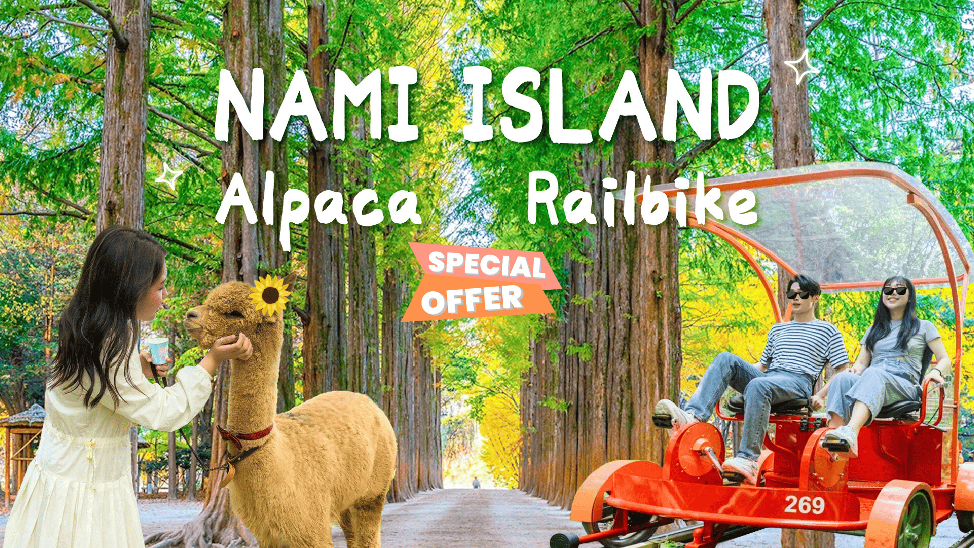 羊驼牧场 / 南怡岛 / 江村铁路自行车 / 晨静树木园 / 乐高乐园 /  秋海棠鸟园