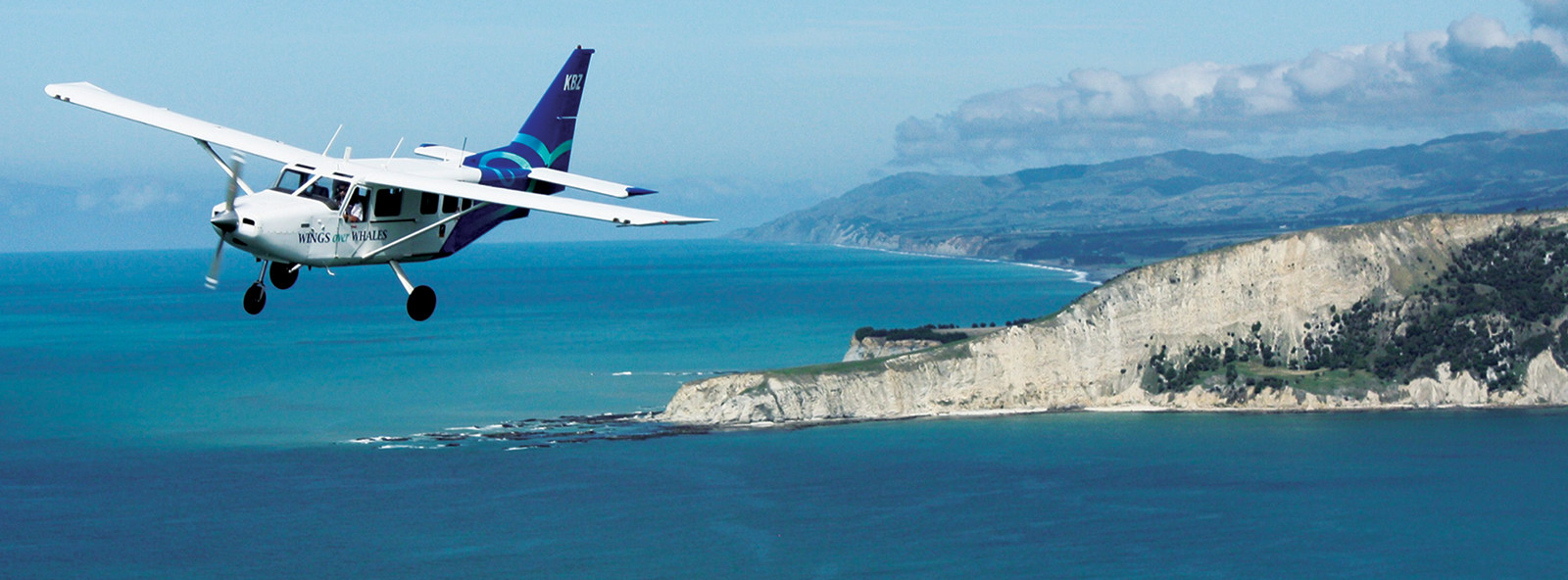 凯库拉观鲸飞行之旅