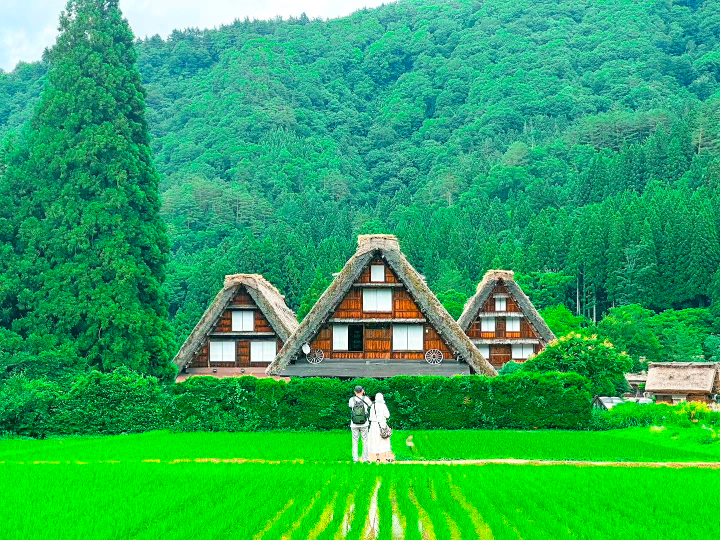 高山市＆白川乡一日游（名古屋出发）