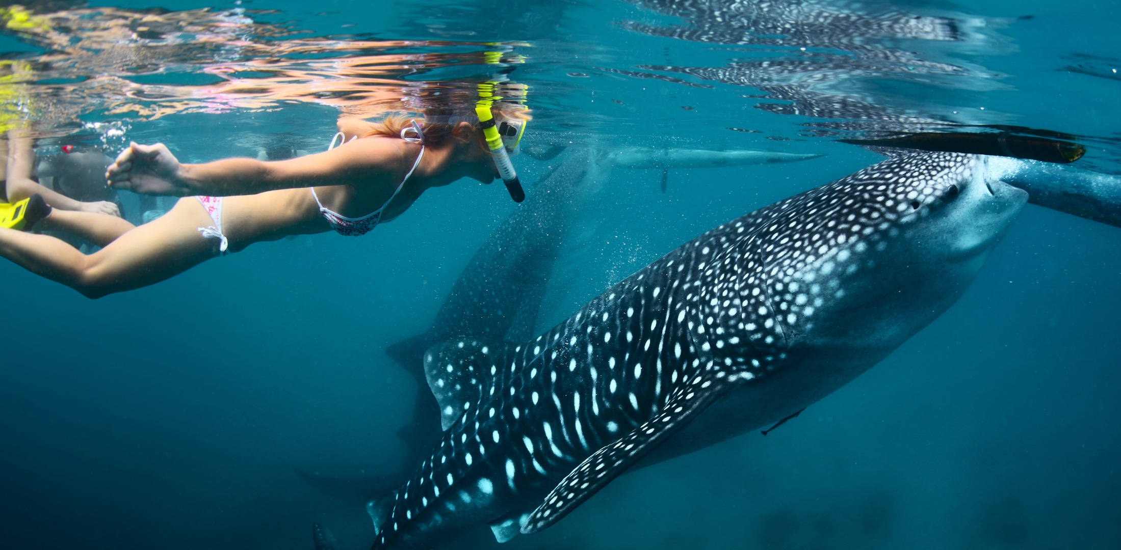 宿雾精华三日游