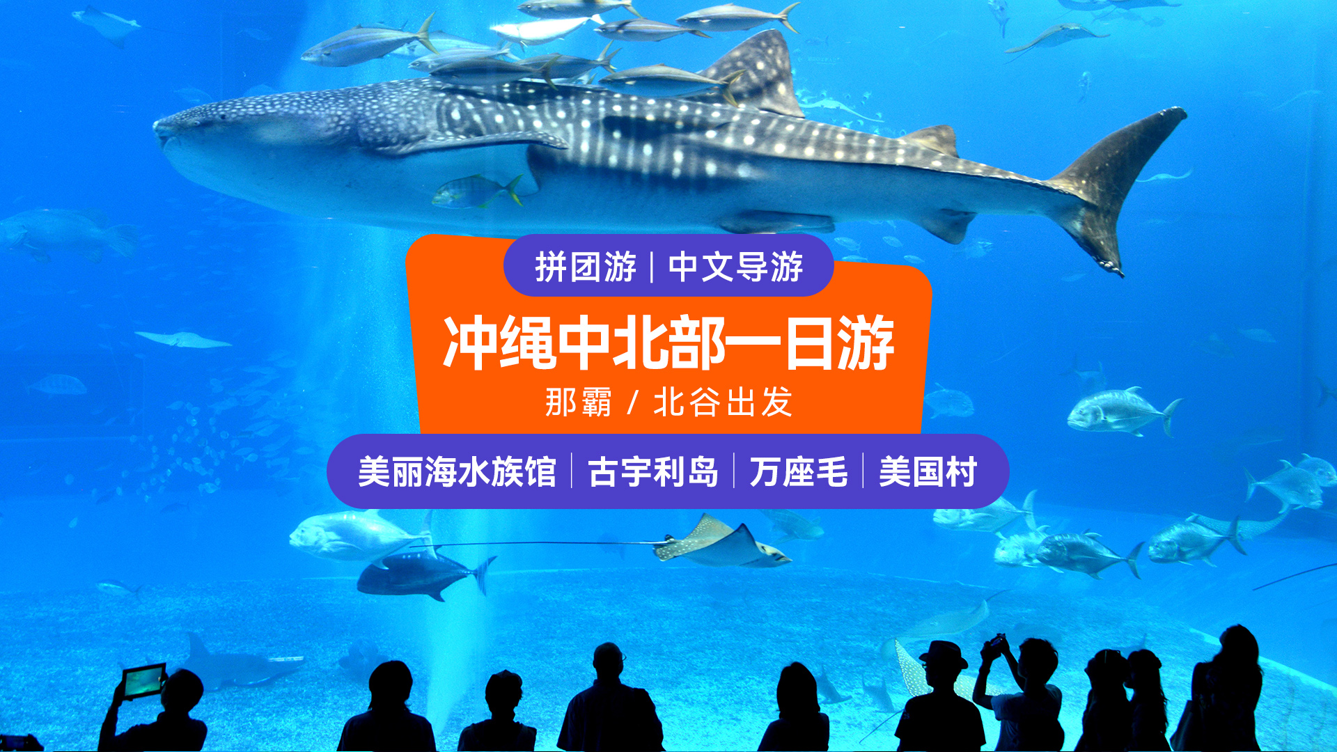 冲绳美丽海水族馆 ＆ 美国村之旅（那霸／北谷出发）