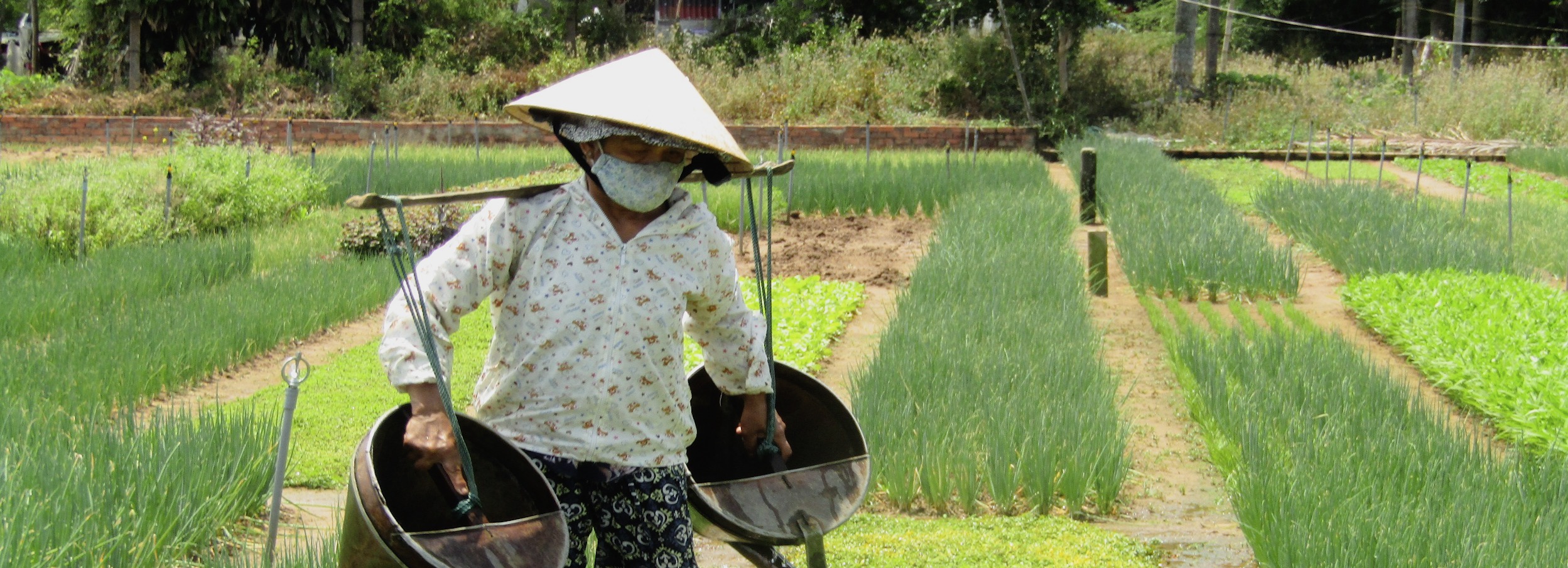 会安渔村 & 陶瓷村 & 迦南村乡村之旅（配备奥黛女骑士）