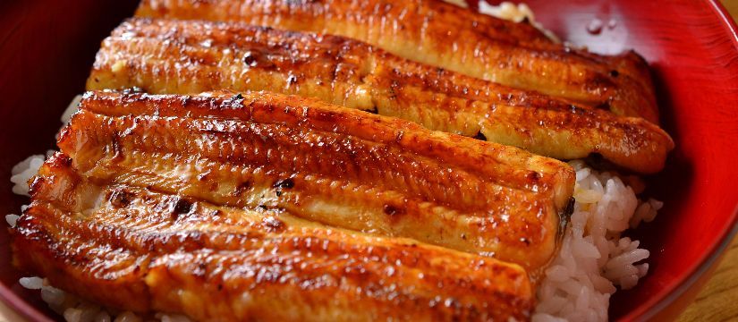 【米其林一星怀石料理】Toraya- うなぎと季节料理とらや（札幌）