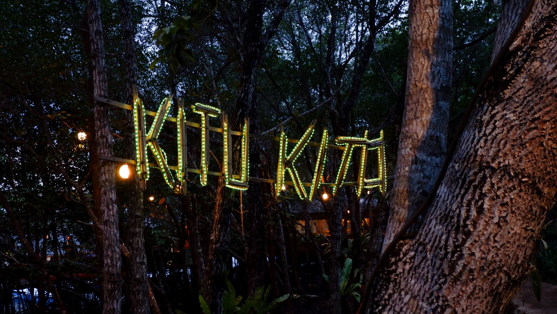 普林塞萨港赏萤火虫之旅