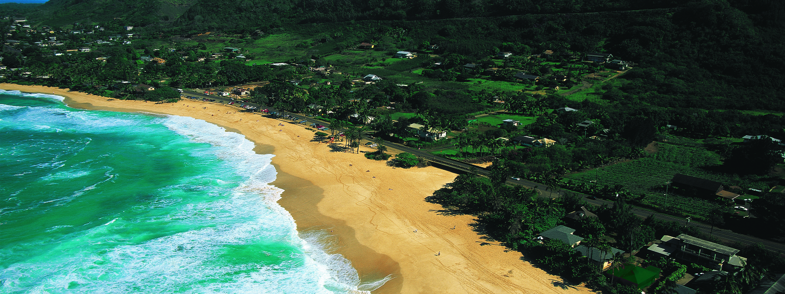 夏威夷欧胡岛北岸环岛一日游