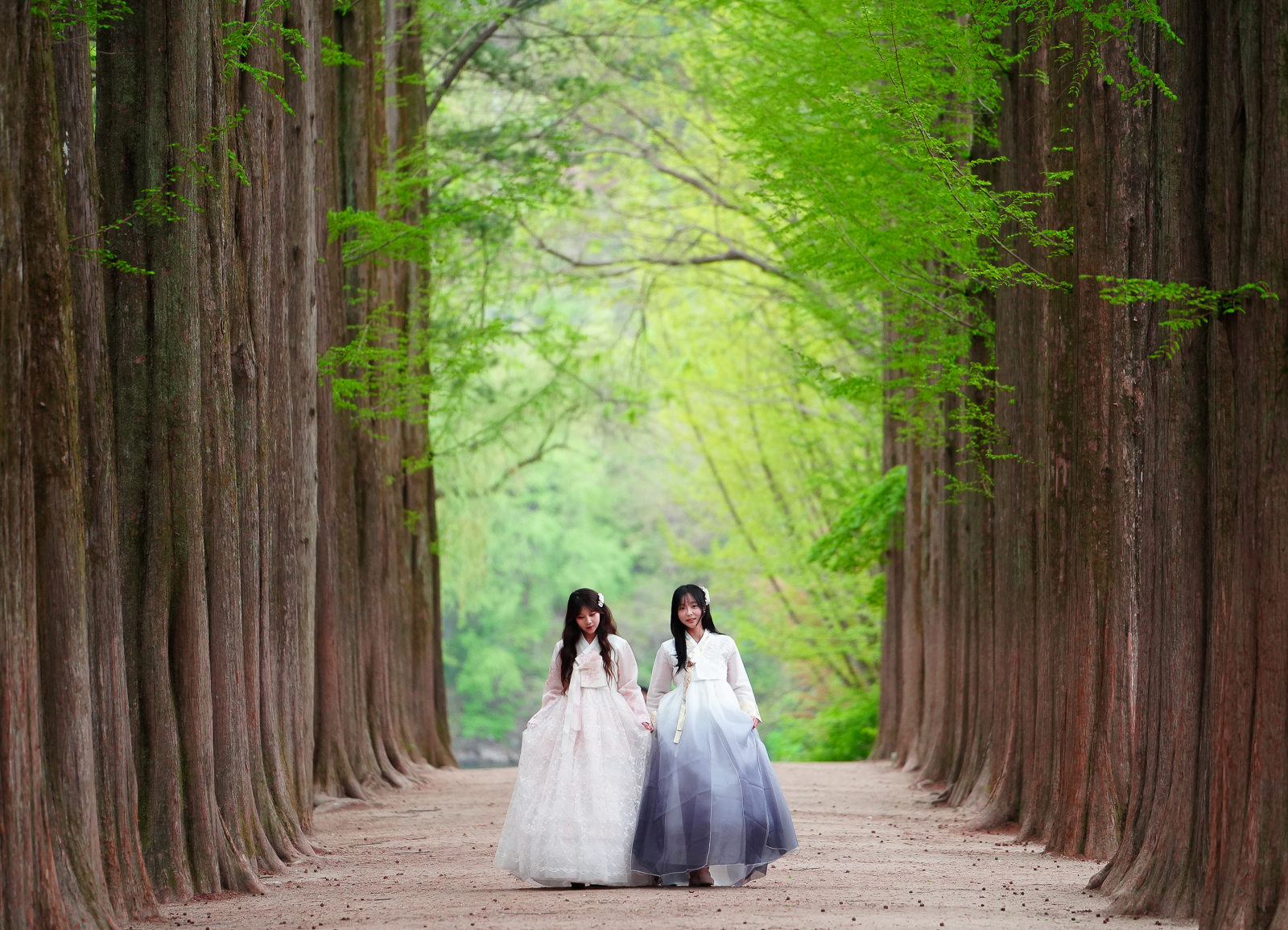 南怡岛＆草泥马乐园＆铁道自行车＆小法国村＆乐高乐园＆晨静树木园私人之旅