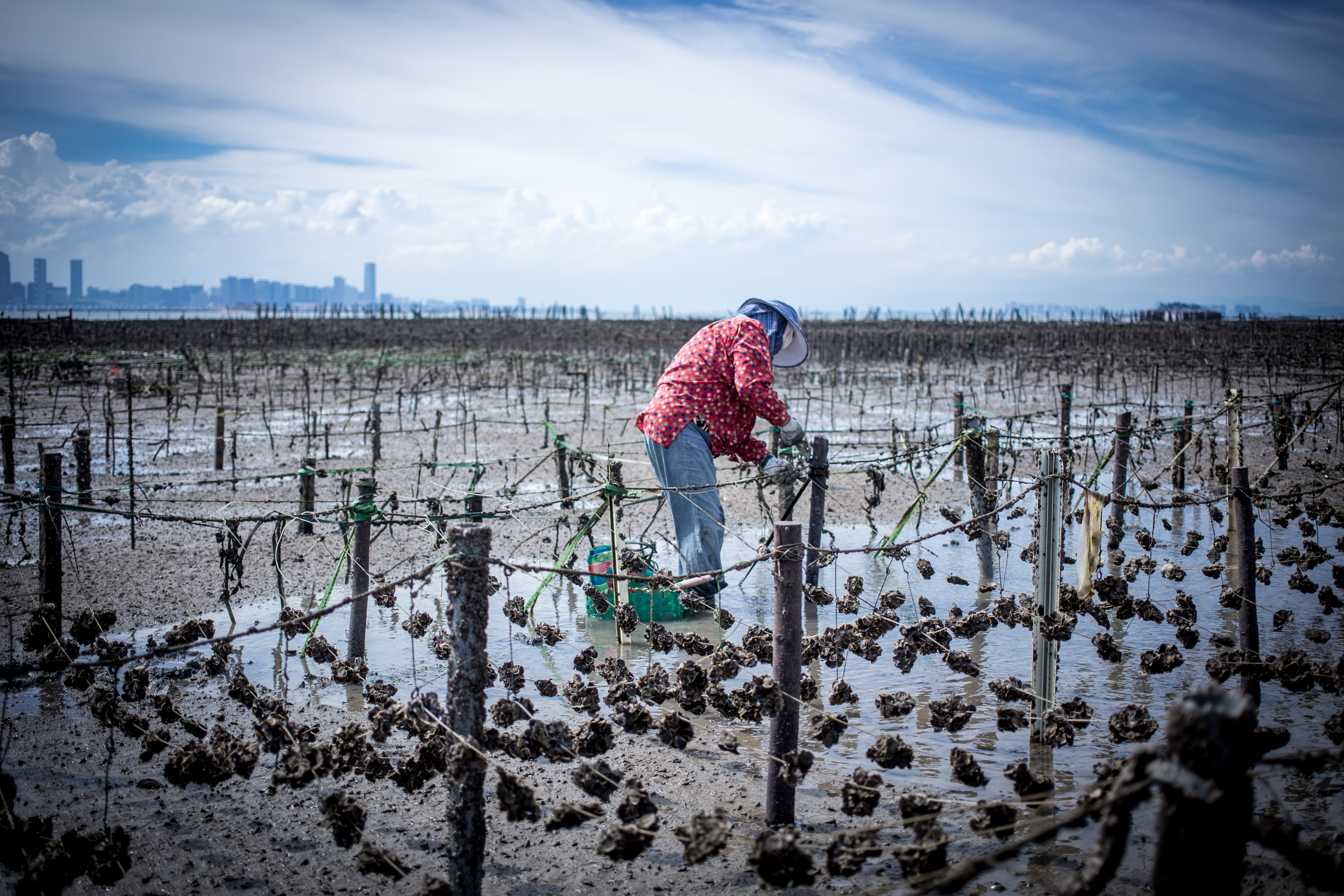 金门海人体验（捡海螺 & 挖花蛤 & 海港岩岸垂钓）