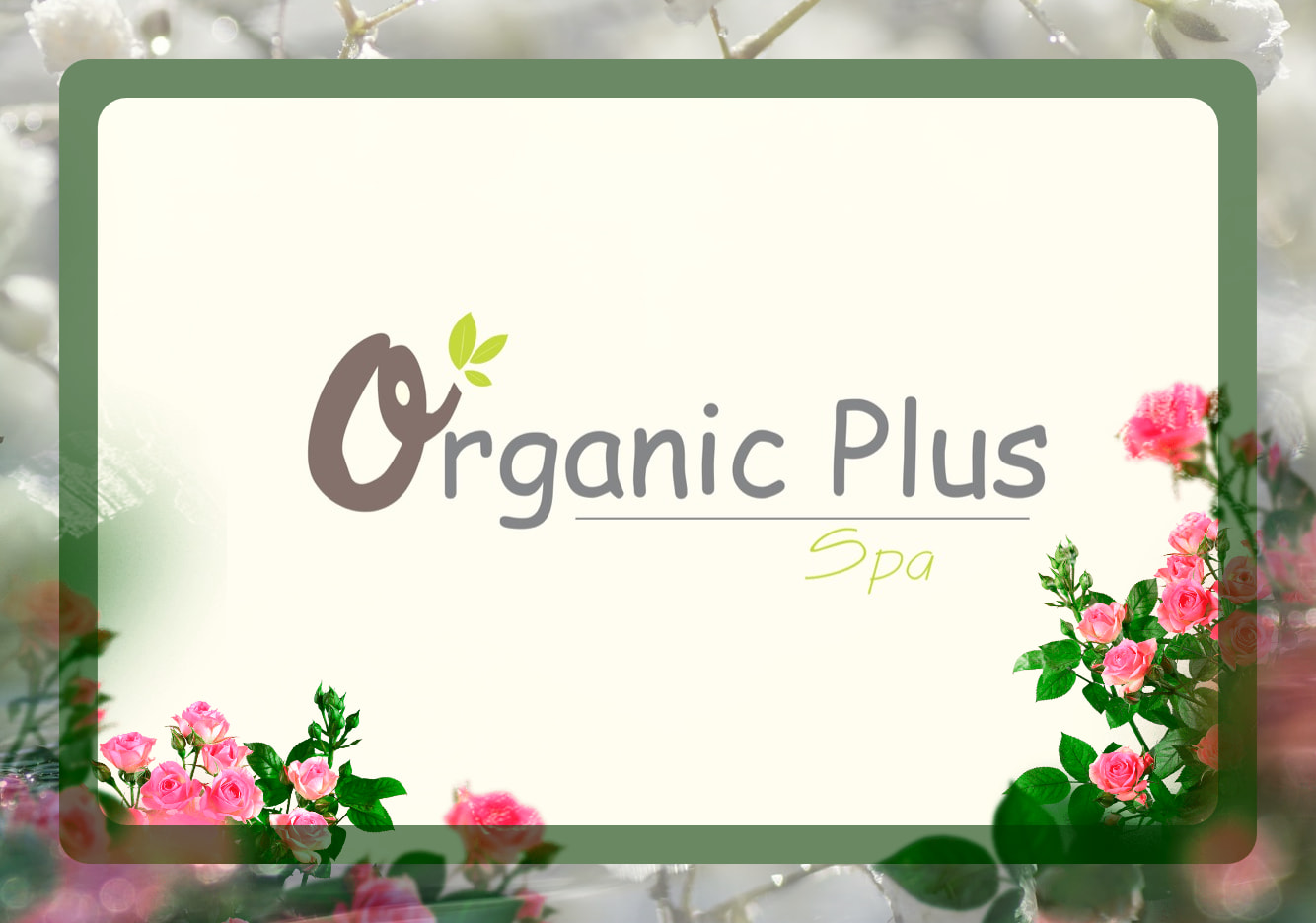 岘港 Organic Plus Spa 按摩体验