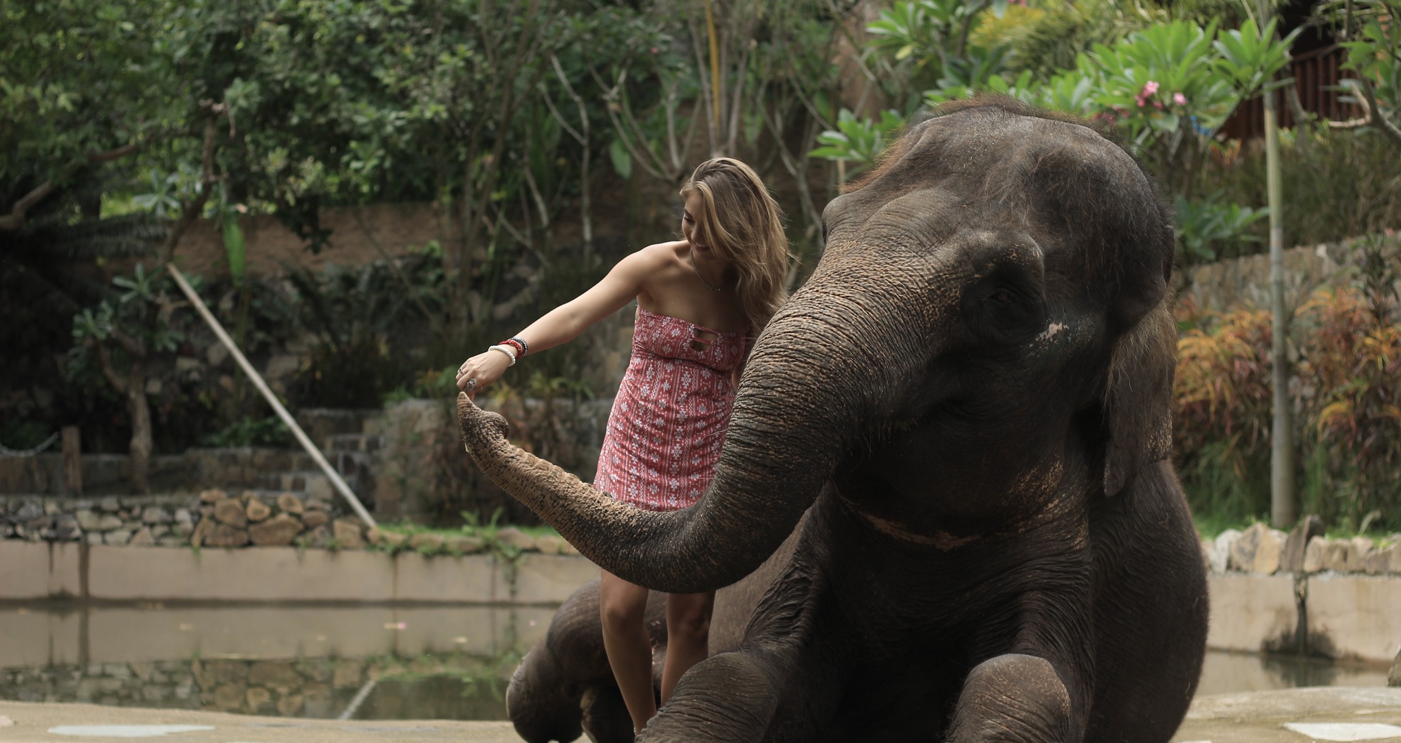龙目岛野生动物园门票（限印尼籍居民使用）