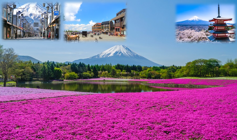 新仓山公园、本町商店街、河口湖、Lawson、大石公园、富士山、忍野八海 赏樱一日游