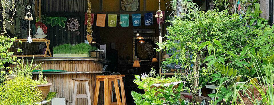 苏梅岛健康饮食探索之旅