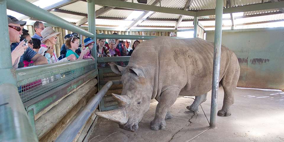 莫纳托野生动物园犀牛互动体验（含门票）