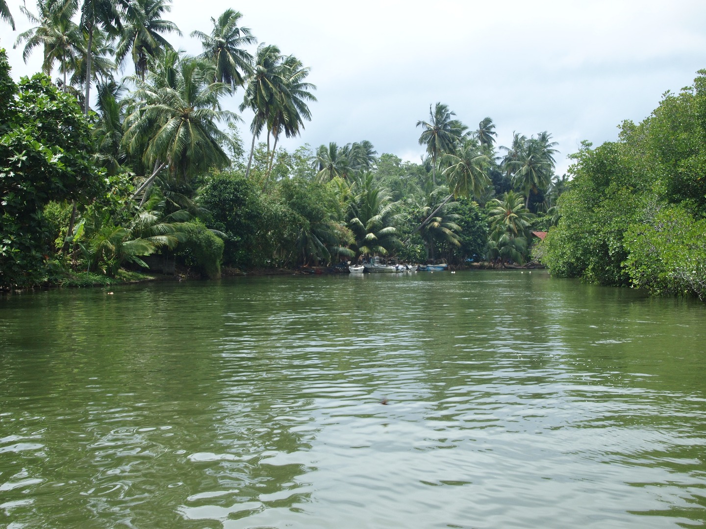 巴勒皮蒂耶生态漂流 & 希卡杜瓦海滩浮潜