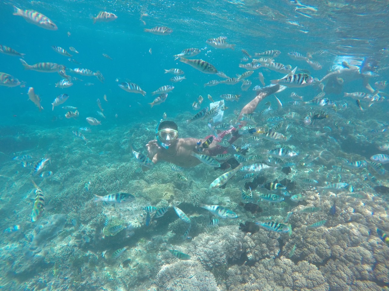 峇里岛 Labuan Amuk 海滩浮潜体验