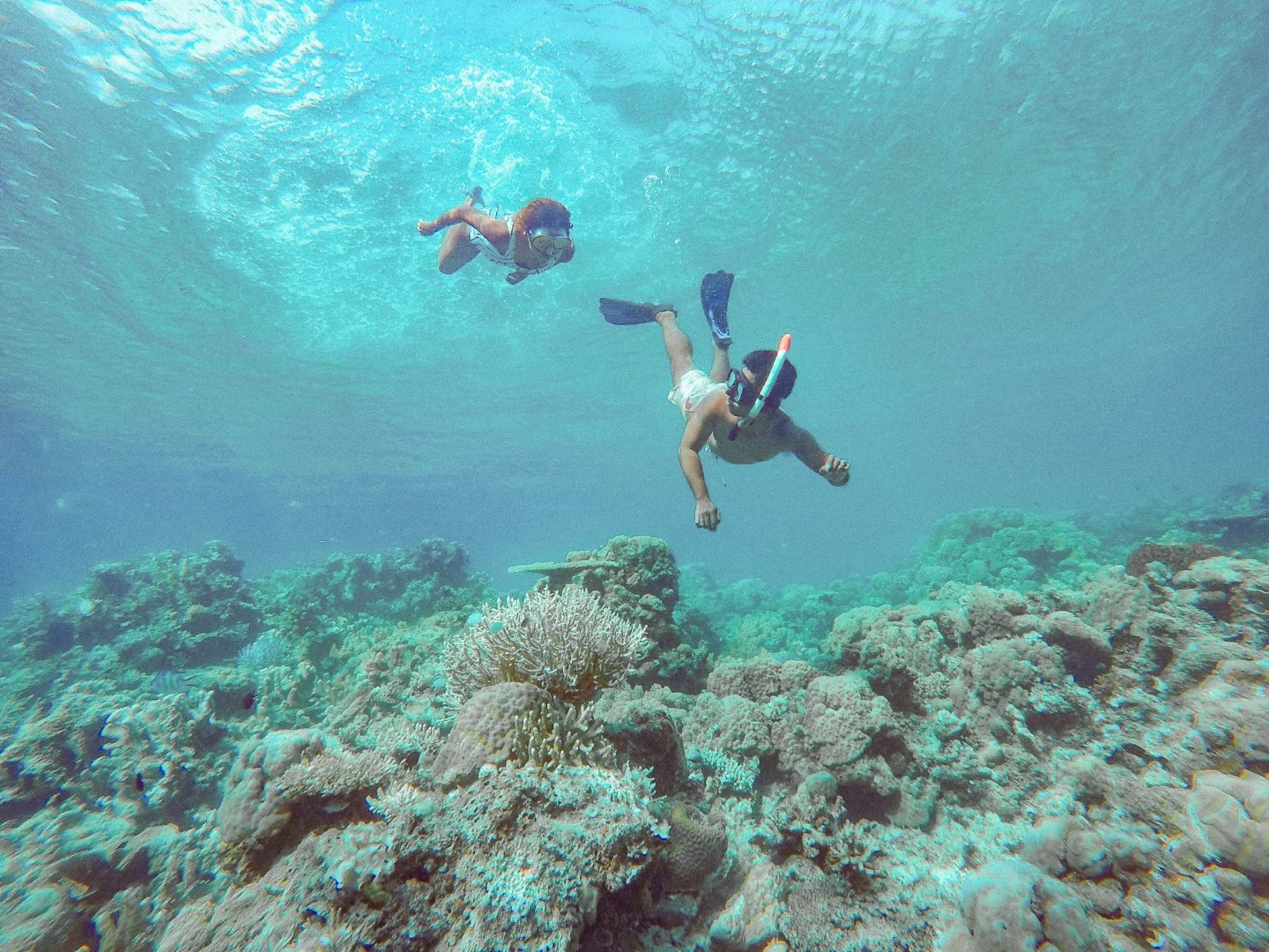 科隆经典跳岛一日游