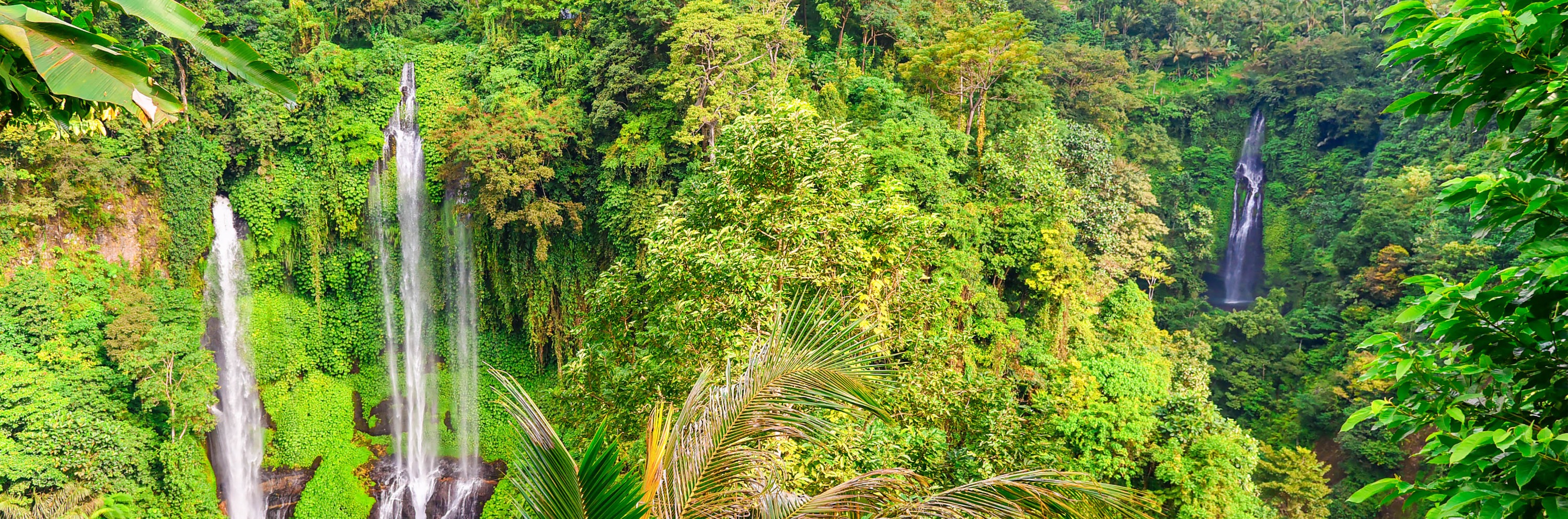 峇里岛Sekumpul瀑布私人一日游