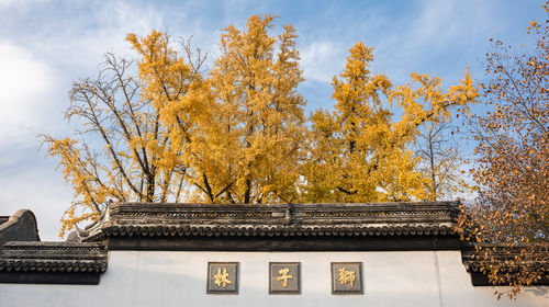 苏州狮子林门票