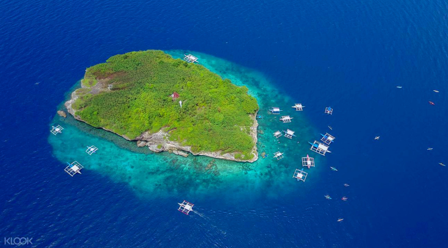 欧斯陆赏鲸鲨＆苏米龙岛一日游