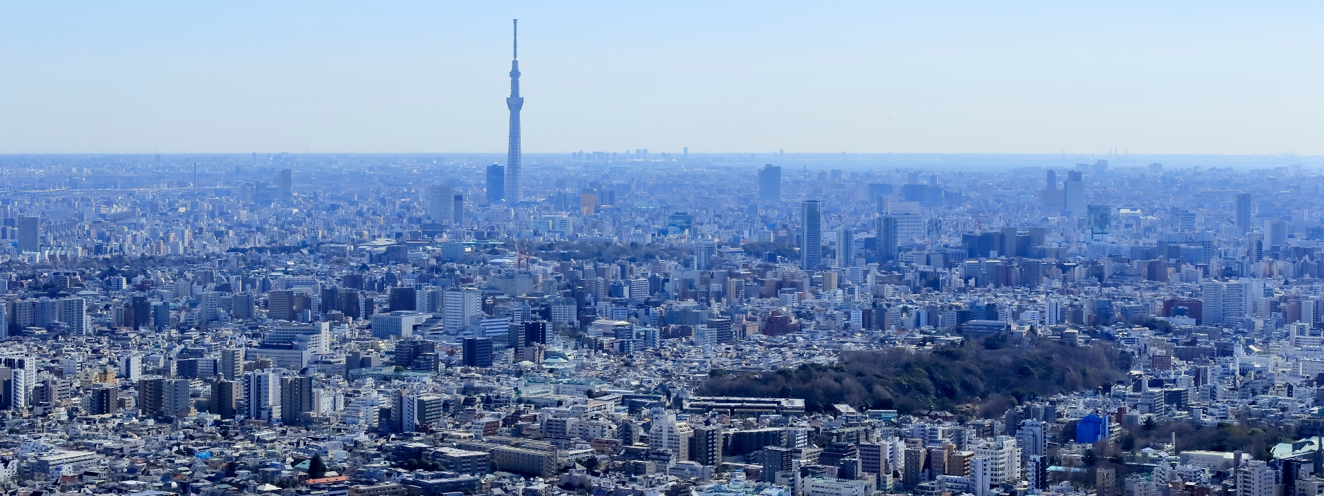 东京阳光60瞭望台 TENBOU-PARK 门票