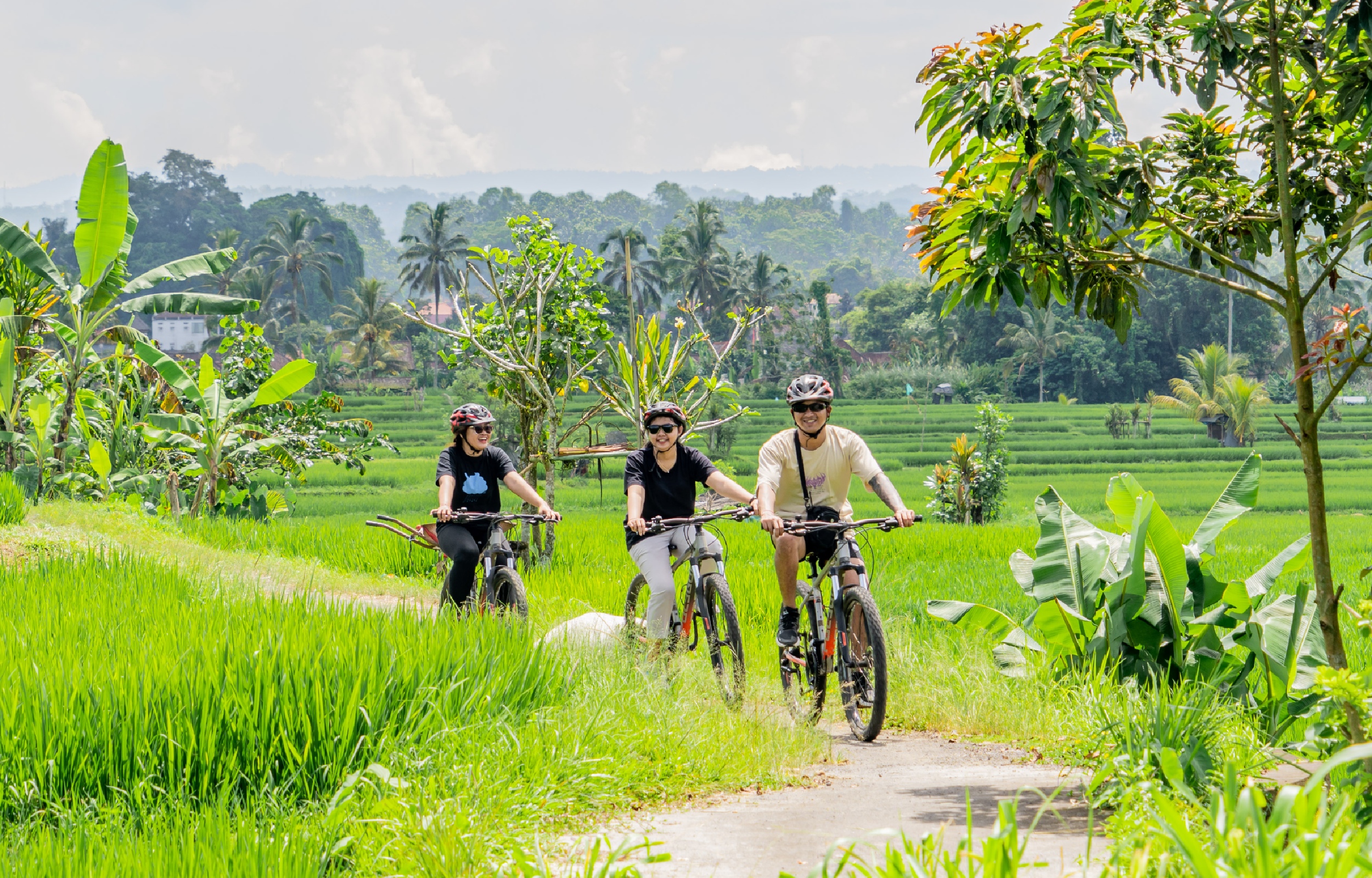 金塔马尼至乌布自行车之旅