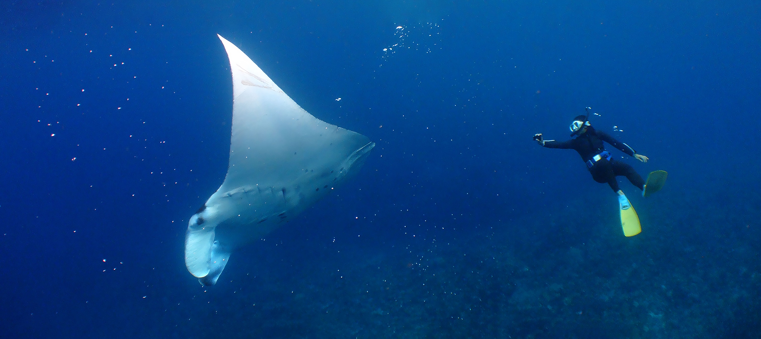 庆良间群岛浮潜／潜水／休闲潜水体验