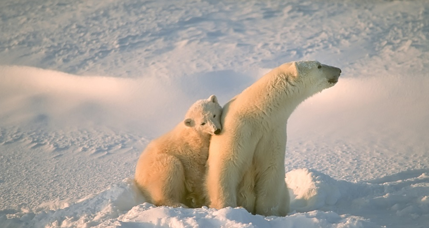 拉努阿野生动物园一日游