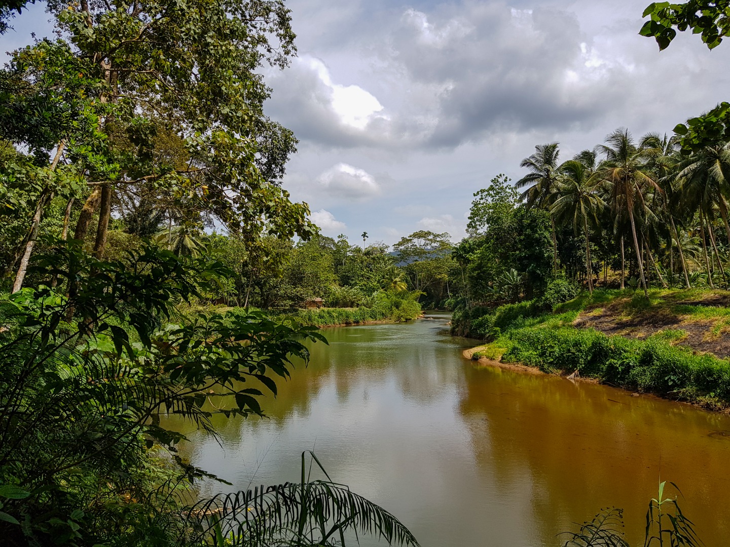 辛哈拉加森林保护区徒步之旅（米瑞莎出发）