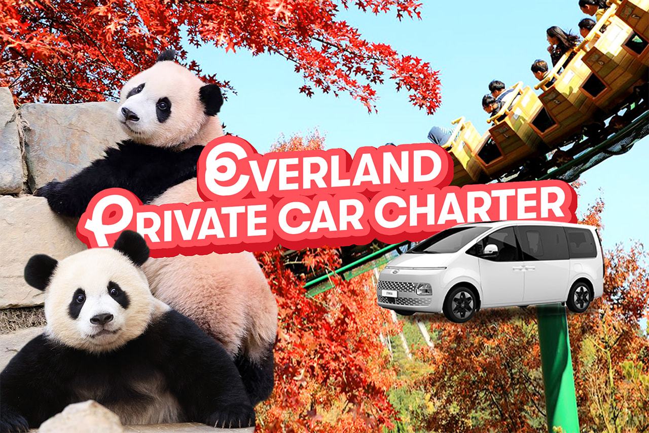 爱宝乐园包车接送（含门票）