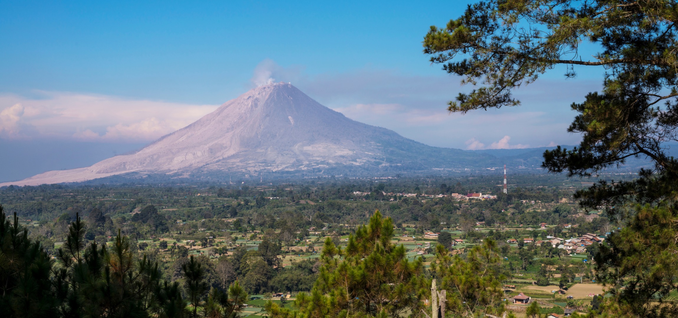 从棉兰出发，前往贝拉斯塔吉和迈蒙宫的一日游