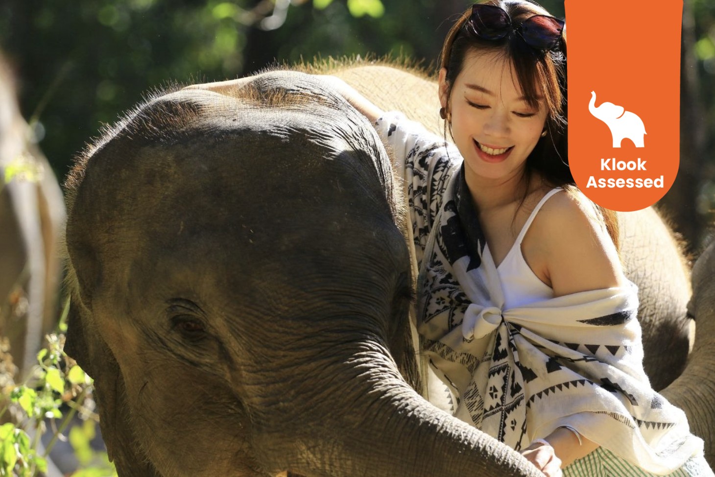 清迈大象自然保护区一日游（含大象护理体验＆户外活动）
