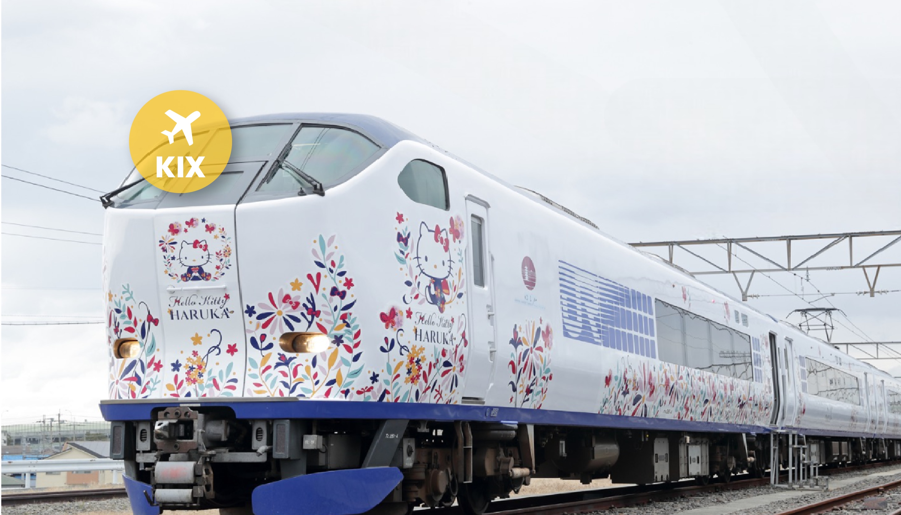 JR关西机场特快 HARUKA 车票