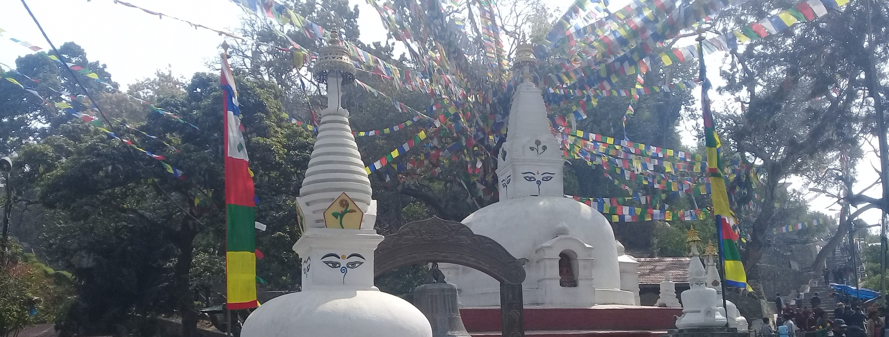 晨间文化探索徒步导览