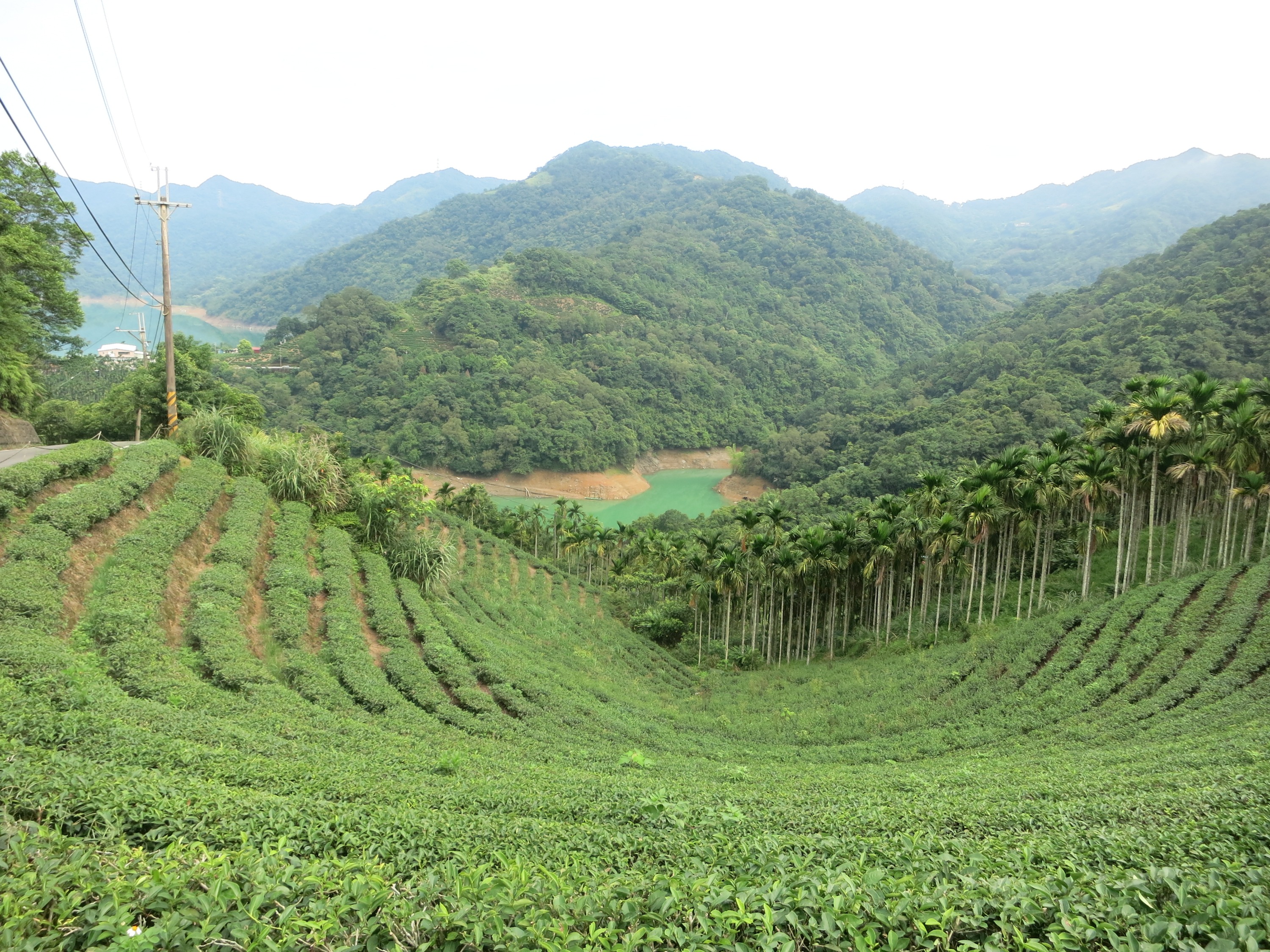猫空缆车 & 坪林茶庄 & 石碇千岛湖一日游