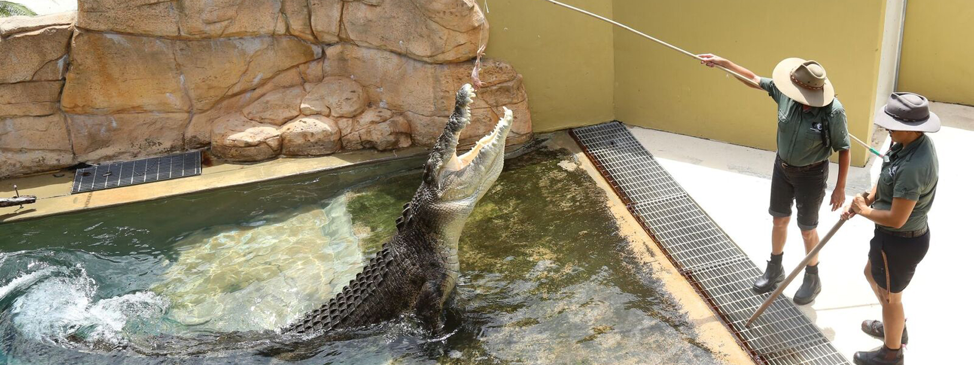 达尔文鳄鱼公园＆达尔文景点套票
