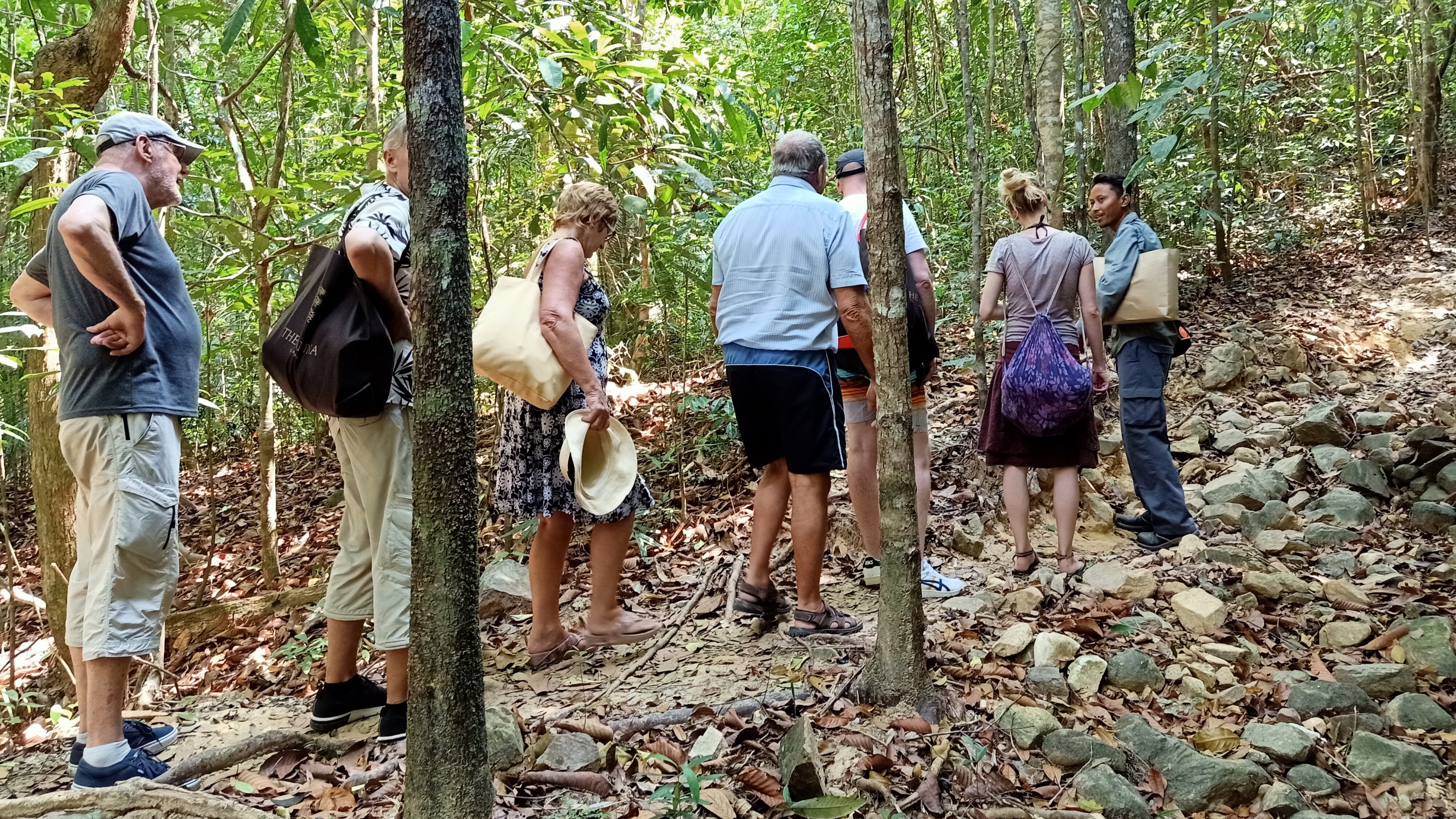 浮罗交怡清晨雨林徒步之旅