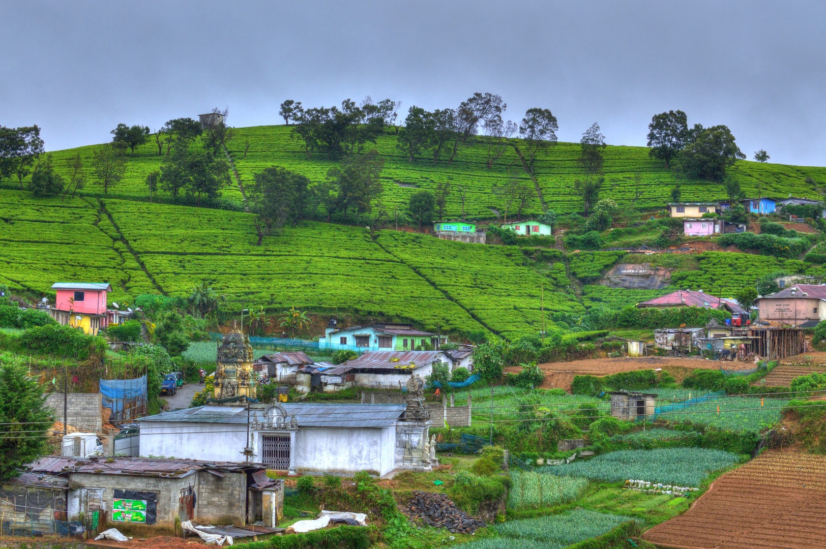 Nuwara Eliya一日游（康提出发）