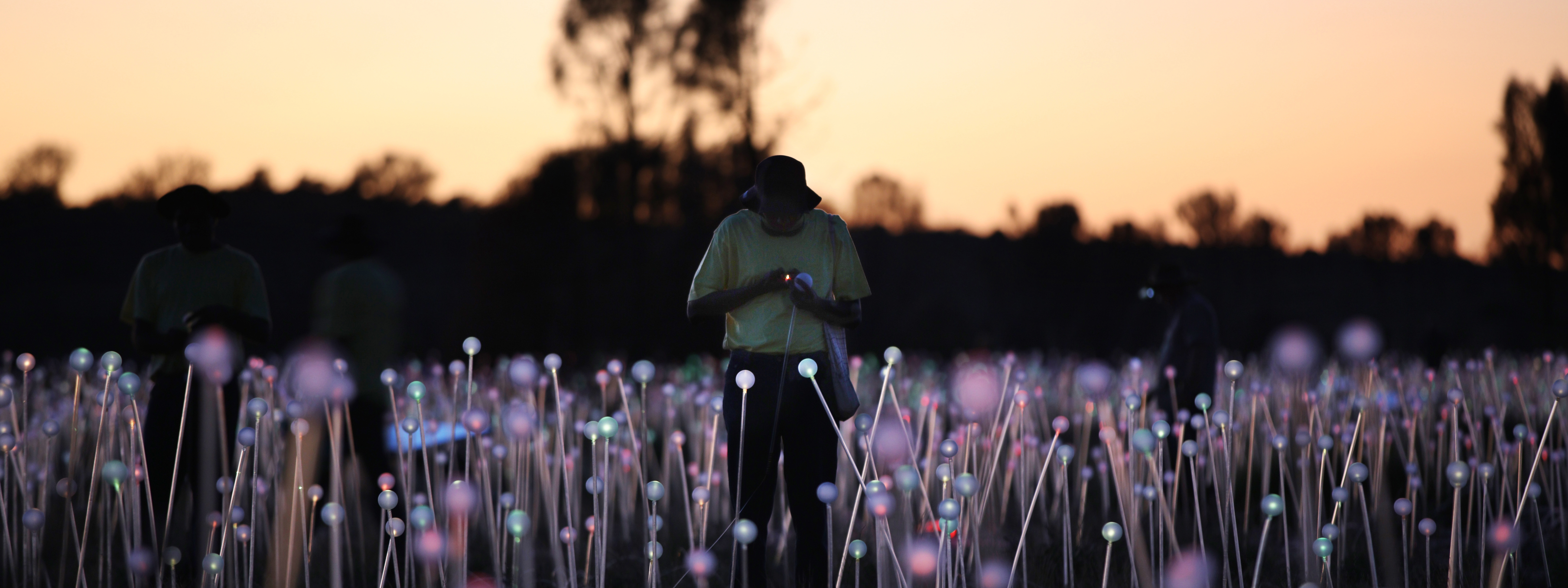 乌鲁鲁光之原野日出之旅