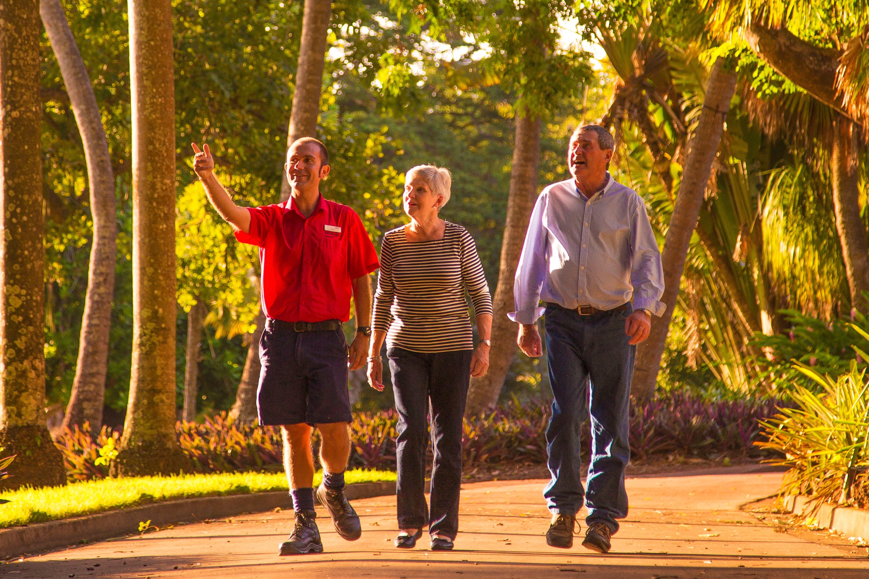 达尔文城市观光半日游